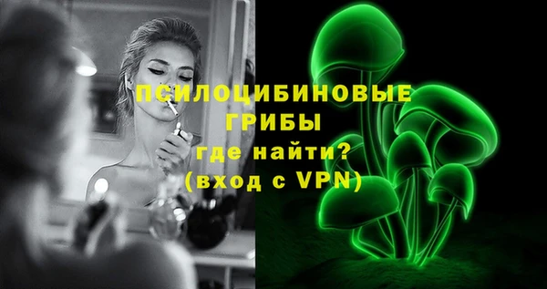 MDMA Няндома