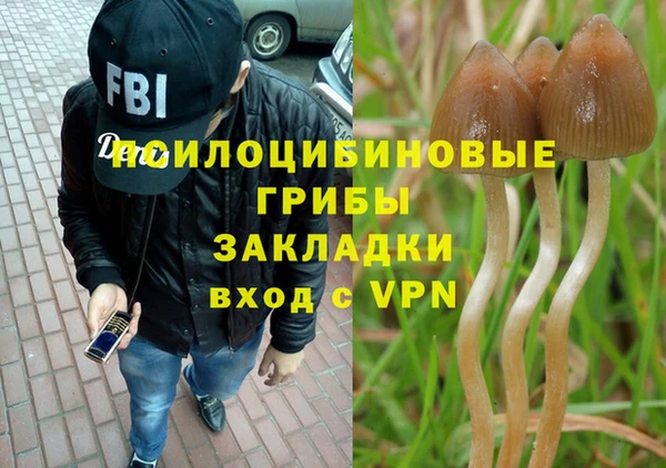 круглые Нягань