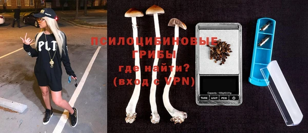 MDMA Няндома