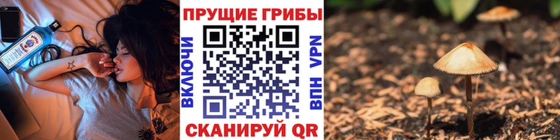 Псилоцибиновые грибы ЛСД  Купить закладки  Карачев 